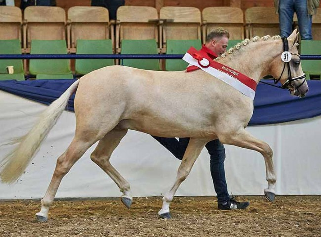 RM Golden Pleasure auf der Ehrenrunde