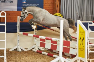 Myloo CJ-Sohn beim Freispringen