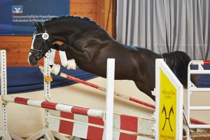 Victor beim Freispringen