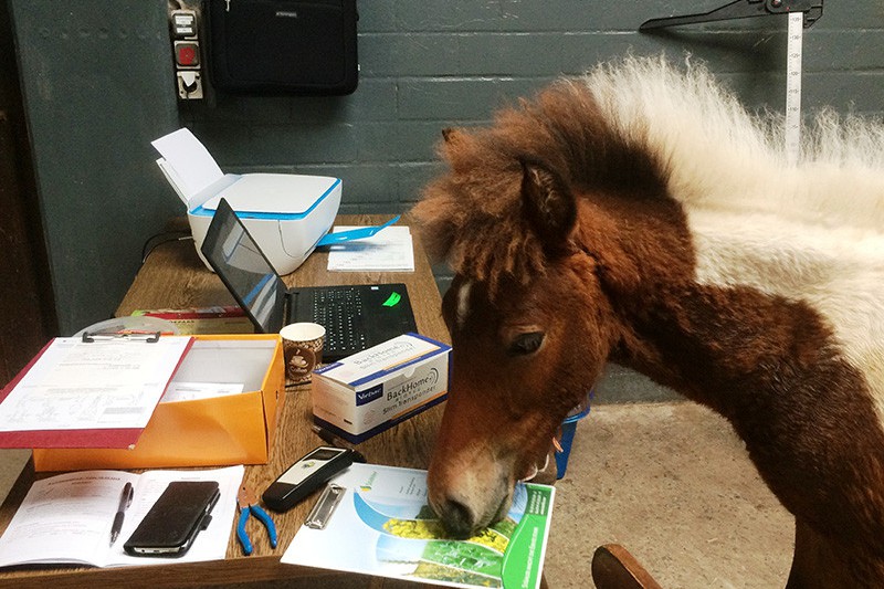 Interessierter Mitarbeiter