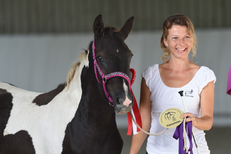 GW Dao- Siegerfohlen an der Hand von Petra Wolf