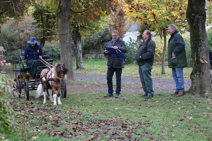 Iggy Pop von der Harkrufe bei der Schlussaufstellung vor den Richtern Klaus Biedenkopf, Wolfgang Benschus und Andreas Müller.PG