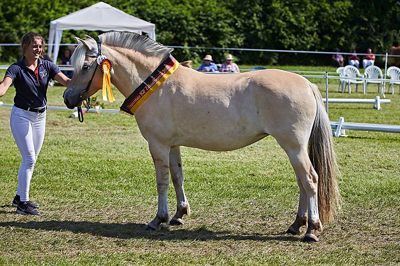 Nija-Siegerin_Zukunftspreis_der_Dreijährigen