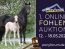 Ponyforum GmbH: Fohlensommer 2022 – die 1. Online Fohlenauktion startet!