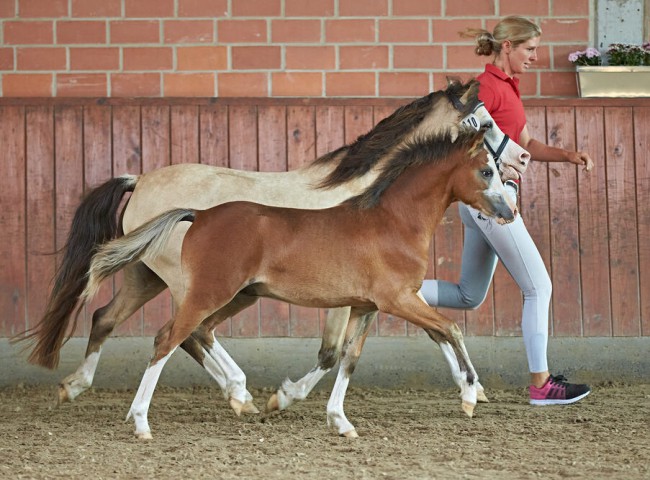 Enjoy_vom_Colourfuldreamleand