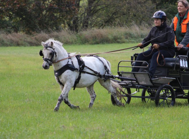 Lendorfs_Popcorn_gefahren_von_Heike_Luckhart_und_seiner_Besitzerin_Sylvia_Lohmann