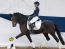 Ponyforum GmbH: Erneute 100%-Verkaufsquote bei Reitponyauktion – doppelte Preisspitze von 25.000,00€