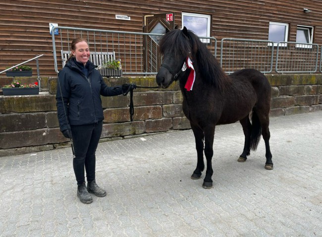 Impressionen_der_Körung