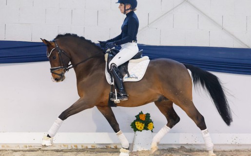 Ponyforum GmbH: Reitponys starten mit Spitzenergebnis ins neue Jahr! 