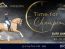 Ponyforum GmbH sucht die Elite der Dressurponys:„Time for Champions“ geht in die zweite Runde